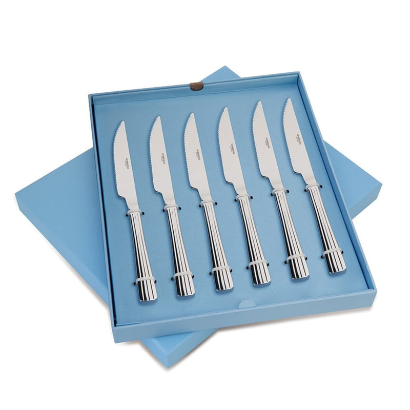 Stainless Steel 6 Piece Steak Knife Set