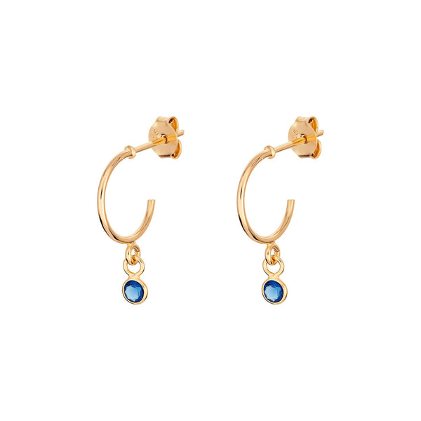 Hoop Earrings - Gold Plated